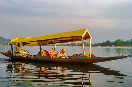 Kashmir